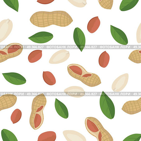 Peanut seamless pattern vector in flat design. Traditional snack. Healthy food. Nut ornament for wallpapers, polygraphy, textiles, web page design, surface textures. Isolated on white background.. Peanut Seamless Pattern Vector in Flat Design.. Peanut Seamless Pattern Vector in Flat Design. Стоковая иллюстрация, агентство Ingram Publishing / Фотобанк Лори