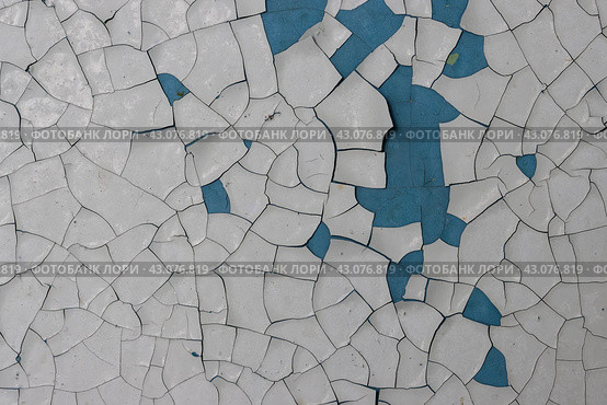 Peeling paint on the wall. Old concrete wall with cracked flaking paint. Weathered rough painted surface with patterns of cracks and peeling. Grunge texture for background and design. High resolution. Стоковое фото, фотограф Андрей Степанов / Фотобанк Лори
