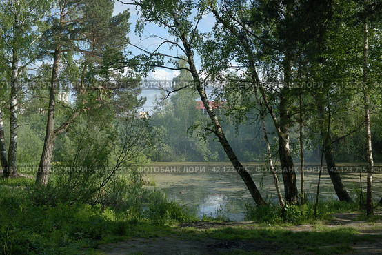 Пейзаж Пироговского лесопарка река Борисовка. Стоковое фото, фотограф MК / Фотобанк Лори