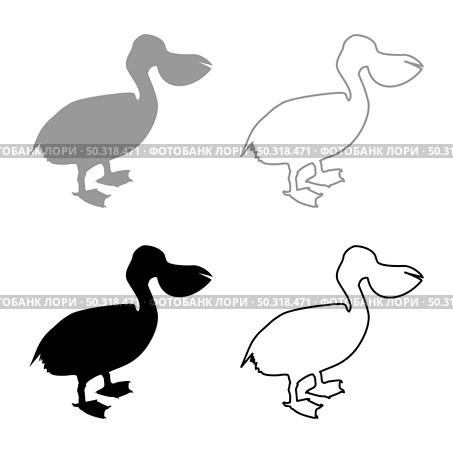 Pelican bird Seabird Waterbird silhouette grey black color vector illustration solid outline style simple image. Pelican bird Seabird Waterbird silhouette grey black color vector illustration solid outline style image. Стоковая иллюстрация, агентство Ingram Publishing / Фотобанк Лори