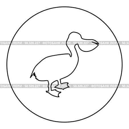 Pelican bird Seabird Waterbird  silhouette in circle round black color vector illustration contour outline style image simple image. Pelican bird Seabird Waterbird silhouette in circle round black color vector illustration contour outline style image . Стоковая иллюстрация, агентство Ingram Publishing / Фотобанк Лори