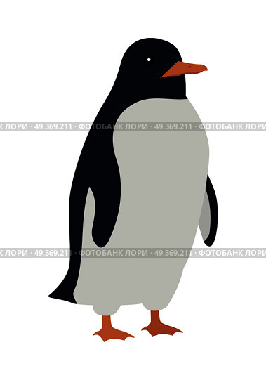 Penguins Isolated. Aquatic, Flightless Bird. Penguins isolated on white. Aquatic, flightless bird living in Southern Hemisphere, in Antarctica. Has countershaded dark and white plumage, wings evolved into flippers. Sticker for children. Vector. Стоковая иллюстрация, агентство Ingram Publishing / Фотобанк Лори