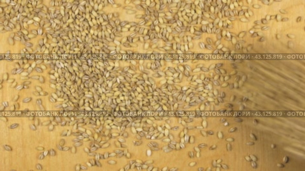 Перловая крупа, рассыпающаяся на деревянном фоне, вид сверху. pearl barley falling on the wooden background. Стоковое видео, видеограф Александр Собко / Фотобанк Лори