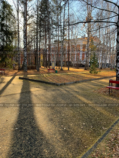 Пермь. Курорт Усть-качка, лечебно-оздоровительный корпус "Русь".  Золотые лучи осеннего солнышка проглядывают сквозь высокие сосны и березы (2020 год). Редакционное фото, фотограф Татьяна Анатольевна Варкентин / Фотобанк Лори