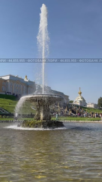 PETERGOF, SAINT PETERSBURG, RUSSIA - September 17, 2024: Vertical video of the beautiful  fountain on Lower park of Peterhof on sunny summer day. Scenic view. City popular landmark. Редакционное видео, видеограф Виктория Катьянова / Фотобанк Лори