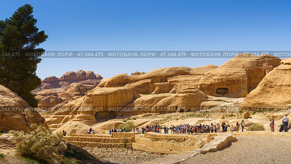 Petra, Wadi Musa, Jordan - Mar 06 2023, panoramic view of Siq Gorge canyon sandstone cliffs and rocks at daytime, Petra. Wadi Musa, Jordan. Редакционное фото, фотограф Сергей Богомяко / Фотобанк Лори