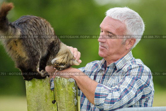 petting a cat. Стоковое фото, агентство Ingram Publishing / Фотобанк Лори