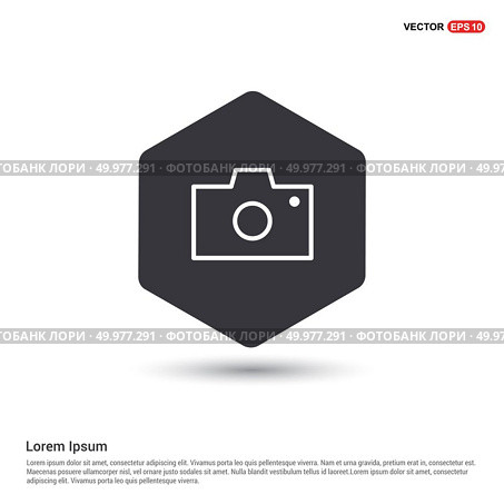 Photo camera icon. Стоковая иллюстрация, агентство Ingram Publishing / Фотобанк Лори