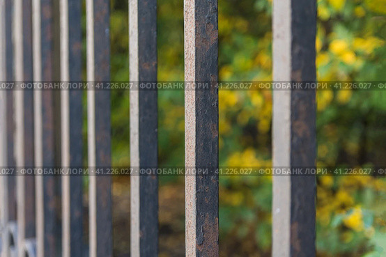 Photo of a steel fence in the Park. Rusty bars with peeling paint fade into a blurry perspective against the background of autumn foliage. Фотография стального забора в парке. Ржавые прутья с облупившейся краской сливаются в размытую перспективу на фоне осенней листвы. Стоковое фото, фотограф Дмитрий Березнев / Фотобанк Лори