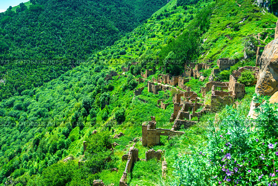 Picturesque landscape of a green mountain slope with ruins of the mountain village of Gamsutl. North Caucasus (2024 год). Стоковое фото, фотограф Константин Лабунский / Фотобанк Лори