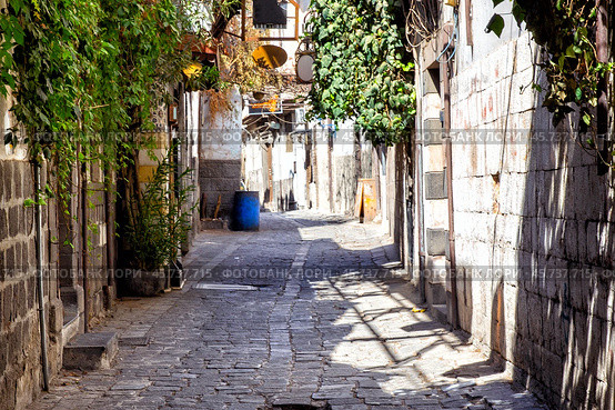 Picturesque narrow street in the old town of Damascus. Republic of Syria. Стоковое фото, фотограф Евгений Ткачёв / Фотобанк Лори