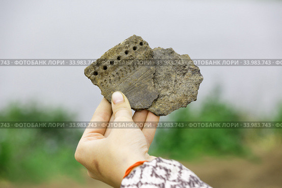 Pieces of ancient clay vessel in the hand of an archaeologist. Стоковое фото, фотограф Круглов Олег / Фотобанк Лори