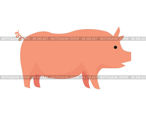 Pig illustration. Vector in flat style design. Domestic animal. Country inhabitants concept. Picture for farming, animal husbandry, meat production companies. Isolated on white background.. Pig Flat Design Vector Illustration on White. Стоковая иллюстрация, агентство Ingram Publishing / Фотобанк Лори