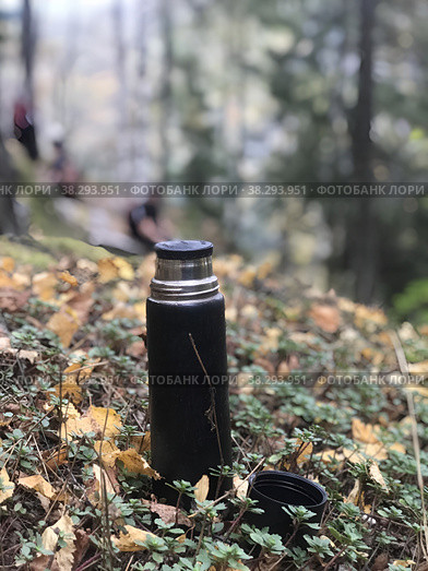 Пикник на природе. Стоковое фото, фотограф Вера ))) / Фотобанк Лори