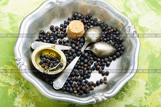 Pile of dry juniper berries. Pile of dry juniper berries prepared for healing teas and extracts. Стоковое фото, агентство Ingram Publishing / Фотобанк Лори