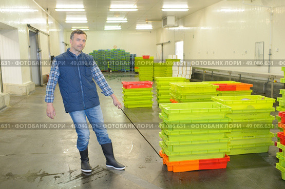 piles of plastic crates. Стоковое фото, агентство Ingram Publishing / Фотобанк Лори