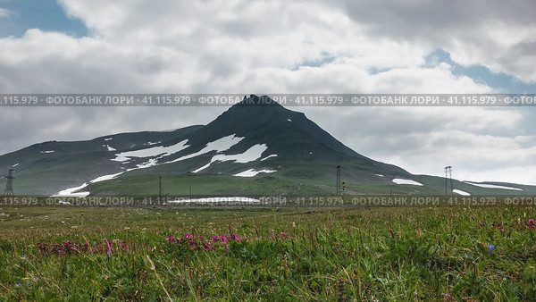 Pink Kamchatka rhododendrons grow among the grass on a green alpine meadow. A picturesque mountain against a cloudy sky. Melted snow on the slopes. Стоковое фото, фотограф Вера Ивановна Кубарева / Фотобанк Лори
