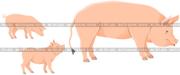 Pink pig, domestic farm animal. Sow with piglets. Piggy or swine, artiodactyl mammal vector. Farming, agriculture and livestock breeding. Domesticated animal, farm pig for meat and fat production. Pink pig, domestic farm animal for meat and fat production. Farming and livestock breeding. Sow with piglets. Стоковая иллюстрация, агентство Ingram Publishing / Фотобанк Лори