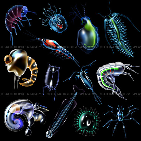 Plankton colored luminescent icons set in cartoon style on black background isolated vector illustration. Стоковая иллюстрация, агентство Ingram Publishing / Фотобанк Лори