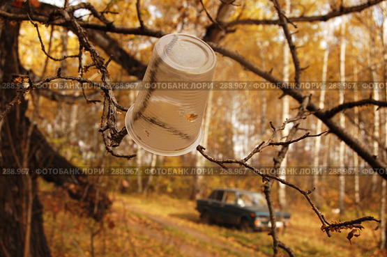 Пластиковый стаканчик (2006 год). Редакционное фото, фотограф Селигеев Андрей Иванович / Фотобанк Лори