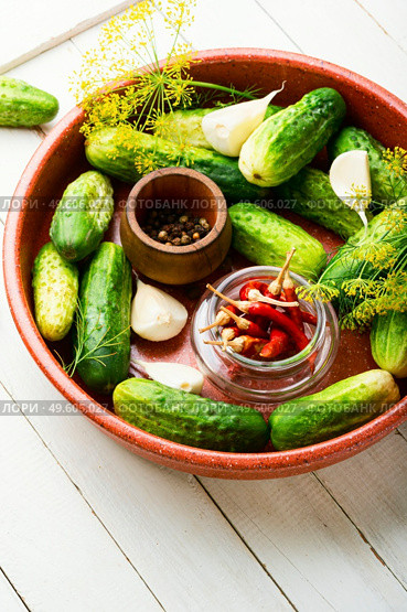 Plate of salted homemade cucumbers.Cooking process,canned cucumbers. Homemade cucumber pickling and ingredients. Стоковое фото, агентство Ingram Publishing / Фотобанк Лори