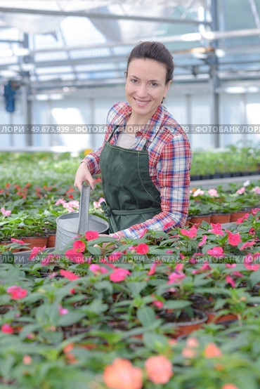 pleasant attractive professional watering flowers. Стоковое фото, агентство Ingram Publishing / Фотобанк Лори