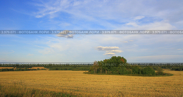 Плодородная долина скошена. Стоковое фото, фотограф Анатолий Матвейчук / Фотобанк Лори