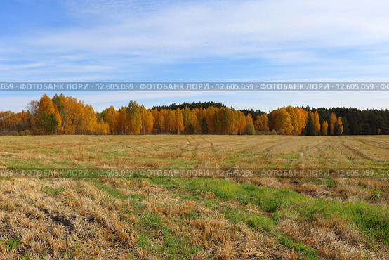 Плодородное поле скошено осенью. Стоковое фото, фотограф Анатолий Матвейчук / Фотобанк Лори