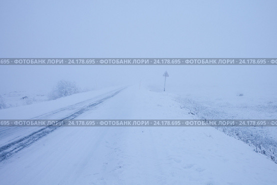 Плохая видимость на трассе в туман зимой. Стоковое фото, фотограф Victoria Demidova / Фотобанк Лори
