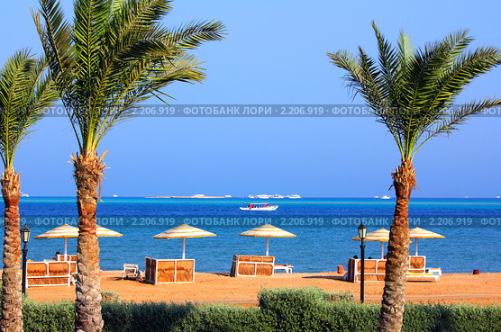 Пляж, пальмы и море - Хургада, Египет (2010 год). Стоковое фото, фотограф Михаил Коханчиков / Фотобанк Лори