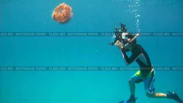 Подводный фотограф фотографирует под водой медузу Цветная капуста (Cephea cephea), Индийский океан, Мальдивские острова. Стоковое видео, видеограф Некрасов Андрей / Фотобанк Лори