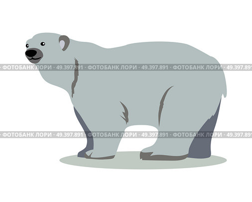 Polar bear cartoon character. Cute polar bear flat vector isolated on white. Arctic fauna species. White bear icon. Animal illustration for zoo ad, nature concept, children book illustrating. Стоковая иллюстрация, агентство Ingram Publishing / Фотобанк Лори