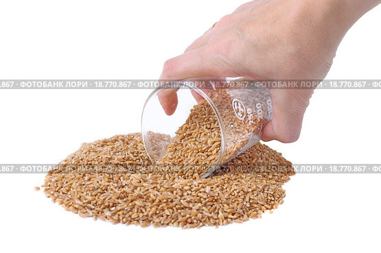 Полба, или спельта  (Triticum spelta) сыпется из мерного стакана. Стоковое фото, фотограф Алёшина Оксана / Фотобанк Лори