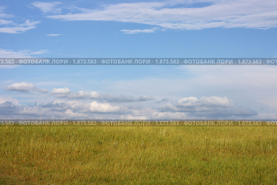 Поле и облака. Стоковое фото, фотограф Полина Столбушинская / Фотобанк Лори