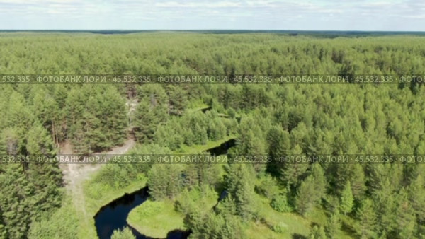 Полёт над лесной рекой. Стоковое видео, видеограф Денис Логиновский / Фотобанк Лори