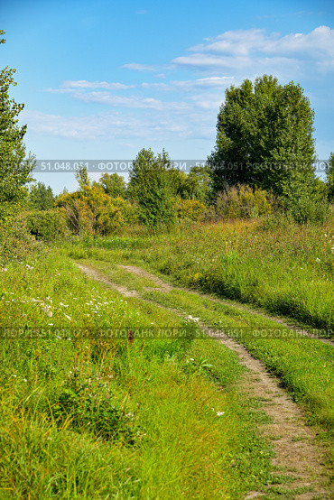 Полевая дорога в пригороде Тюмени. Стоковое фото, фотограф Александр Тараканов / Фотобанк Лори