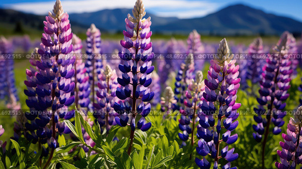pollinators native plants ai generated. Стоковое AI-изображение, AI-художник Vectorwin / Фотобанк Лори