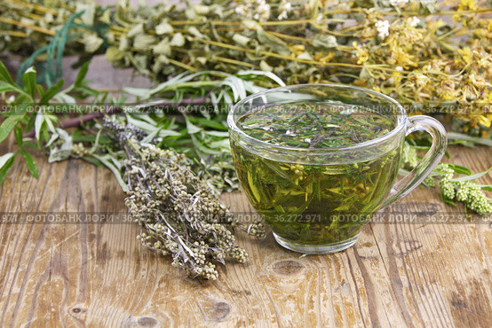 Полынь горькая (Artemisia absinthium L. ) чайный напиток. Полынь применяется в народной медицине,кулинарии,парфюмерной промышленности. Стоковое фото, фотограф Наталия Кузнецова / Фотобанк Лори