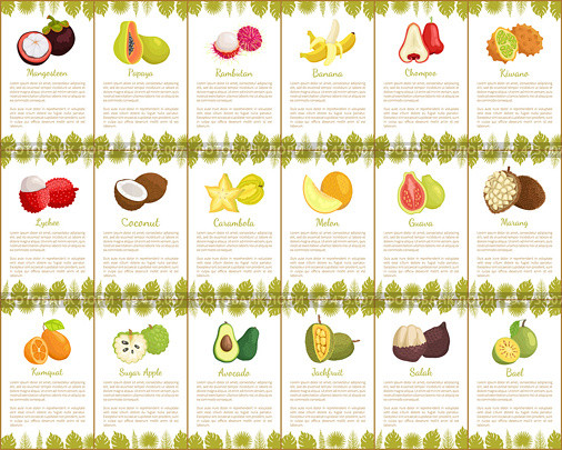 Pomelo and longan, coconut and citron, passion fruit and mango slice. Carambola and cupuacu, papaya and watermelon, salak and marang posters vector. Pomelo and Longan Posters Vector Illustration. Стоковая иллюстрация, агентство Ingram Publishing / Фотобанк Лори