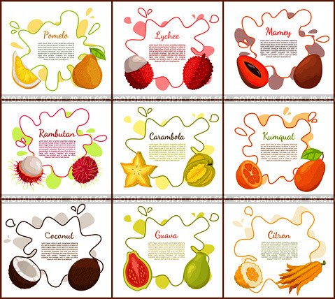 Pomelo and lychee, mango tropical fruit slices and carambola star. Posters set with text sample, coconut and citron, rambutan and papaya food vector. Pomelo and Lychee Mango Set Vector Illustration. Стоковая иллюстрация, агентство Ingram Publishing / Фотобанк Лори