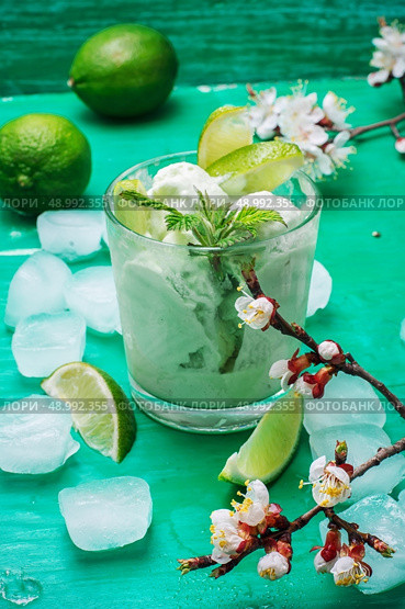 Popsicles with fruit lime.The image is tinted in vintage style.Shallow DOF. fruit ice cream in  bowl. Стоковое фото, агентство Ingram Publishing / Фотобанк Лори