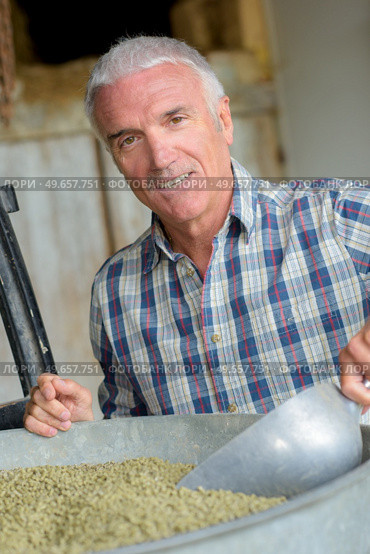 portrait of a farmer scooping dry product. Стоковое фото, агентство Ingram Publishing / Фотобанк Лори