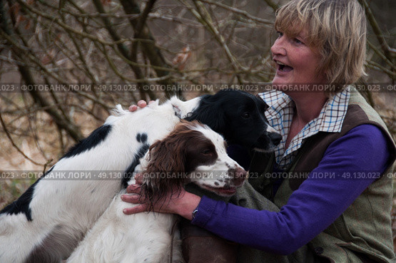 Portrait of a woman and her two spaniels. Стоковое фото, агентство Ingram Publishing / Фотобанк Лори