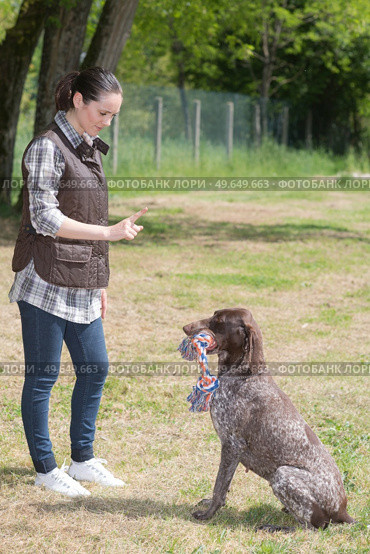 portrait of breeder training dog. Стоковое фото, агентство Ingram Publishing / Фотобанк Лори