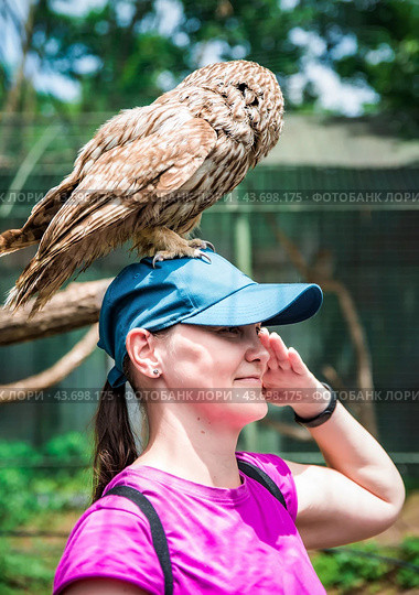 Portrait of laughing 36 years old Russian woman with Ural owl (Strix uralensis) bird sitting on her head. Стоковое фото, фотограф Татьяна Терехина / Фотобанк Лори
