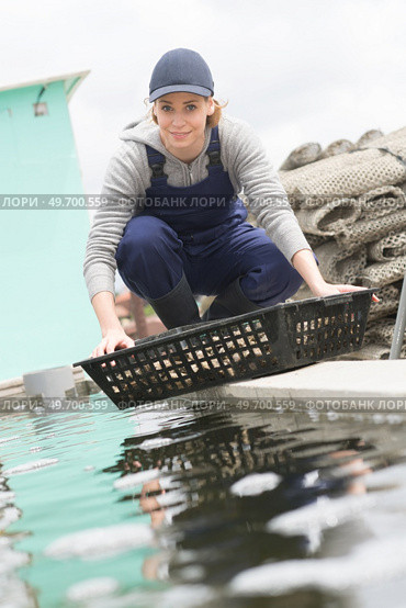 positive european fish farm employee nursing seashells. Стоковое фото, агентство Ingram Publishing / Фотобанк Лори