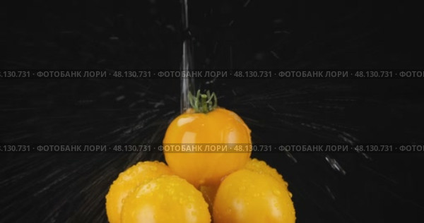 Поток воды, падающий на груду желтых помидоров. Водопад, брызги и капли воды на черном фоне. Выделенные на черном фоне. Стоковое видео, видеограф Александр Собко / Фотобанк Лори