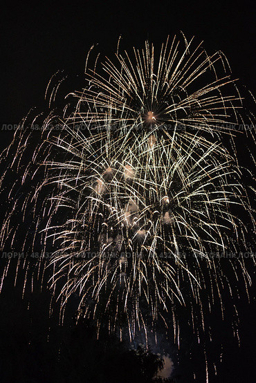 Праздничный салют. Салют в небе. Festive fireworks. Fireworks in the sky. Стоковое фото, фотограф Ольга Митряева / Фотобанк Лори