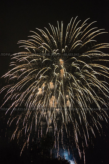 Праздничный салют. Салют в небе. Festive fireworks. Fireworks in the sky. Стоковое фото, фотограф Ольга Митряева / Фотобанк Лори