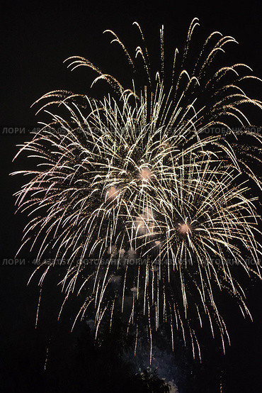 Праздничный салют. Салют в небе. Festive fireworks. Fireworks in the sky. Стоковое фото, фотограф Ольга Митряева / Фотобанк Лори